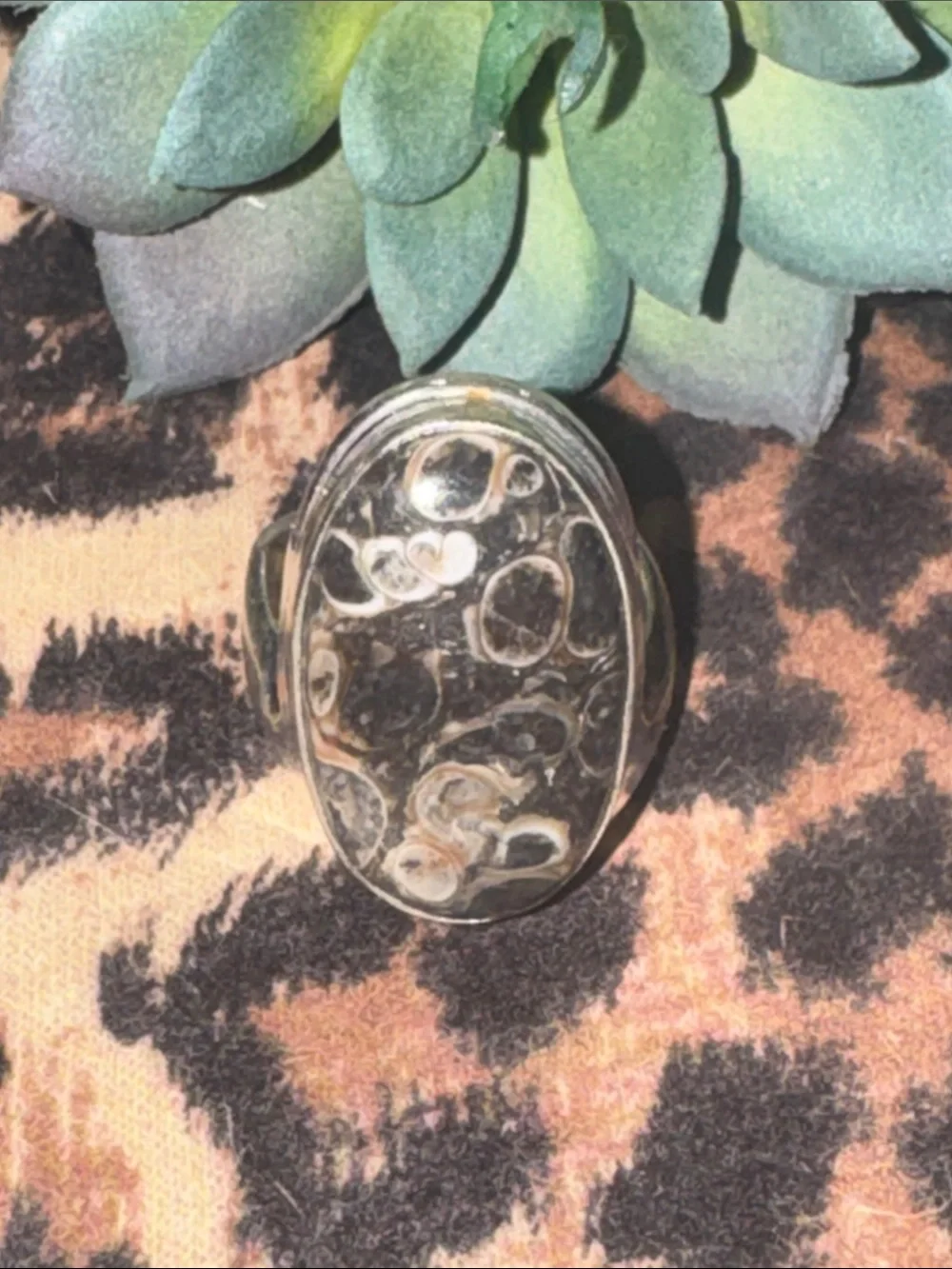 Turitella Jasper Silver Ring